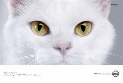 CAT - Publicidad