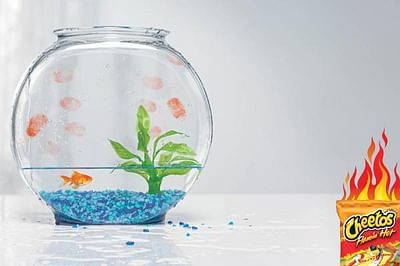 FISH BOWL - Advertising