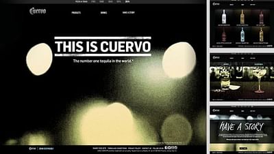 Jose Cuervo 2014 - Werbung