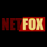 NETFOX-DIGITAL logo