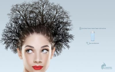 Tree - Werbung