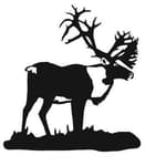 Denali Executives Inc. logo