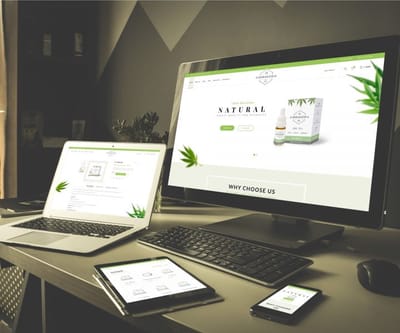 Web Design - SEO