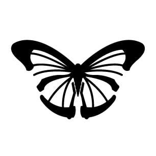 Monarch Creative Inc.