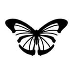 Monarch Creative Inc. logo