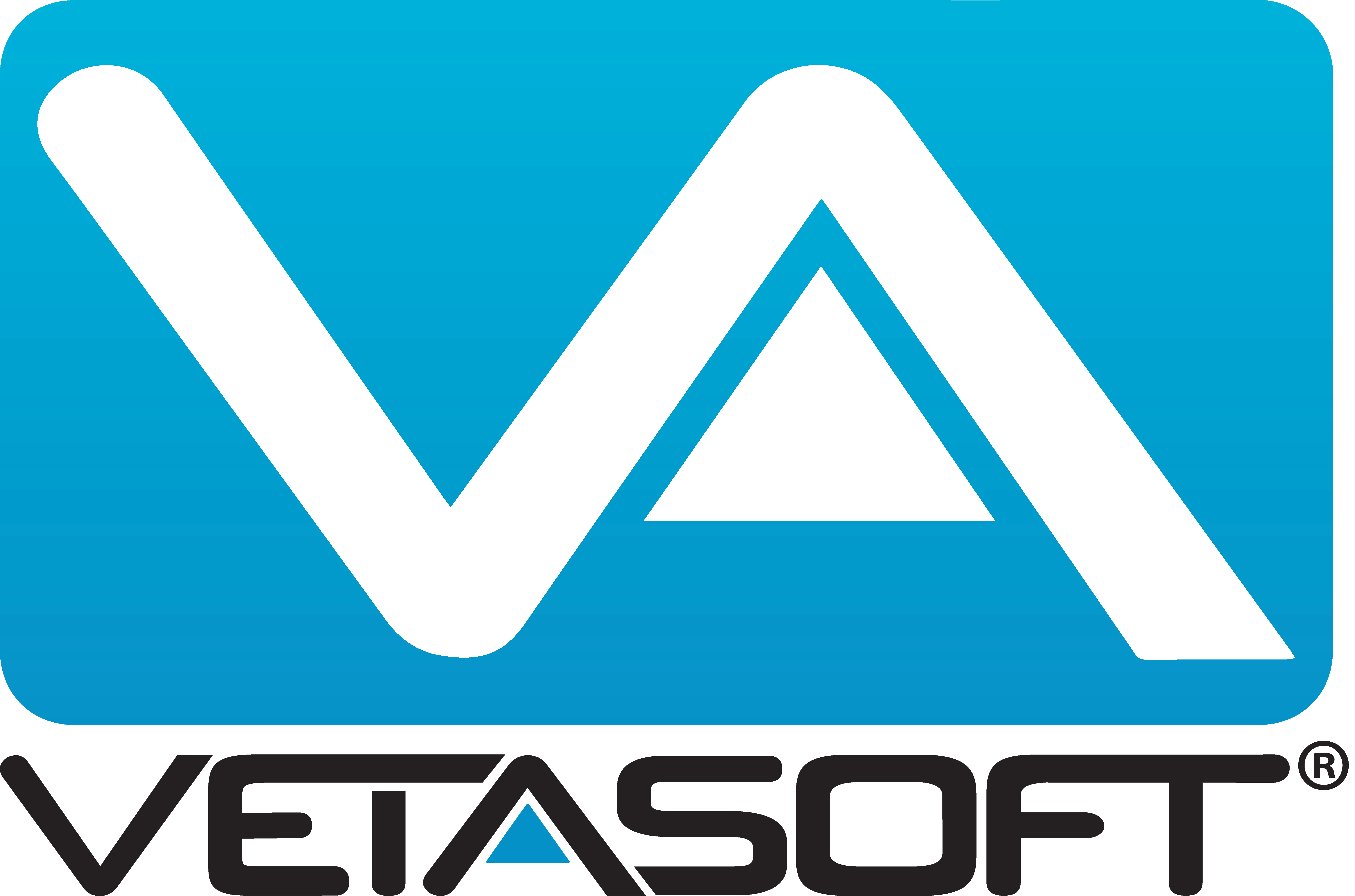 VETASOFT