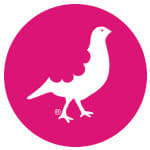 Ycp Creativos S.L logo