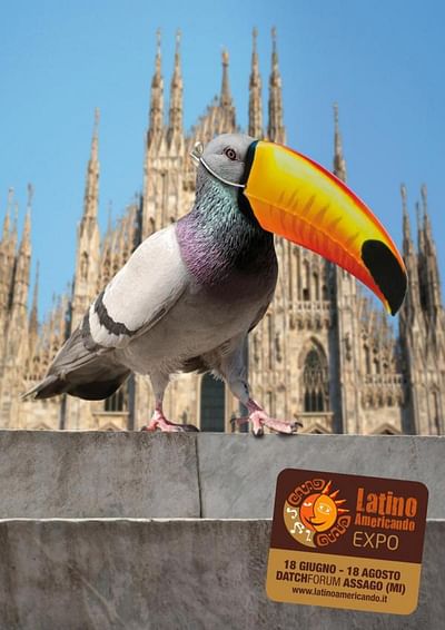 Toucan - Branding & Positioning