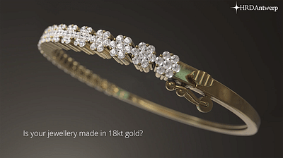 HRD antwerp Jewelry report - Video Production