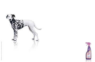 DOG - Reclame