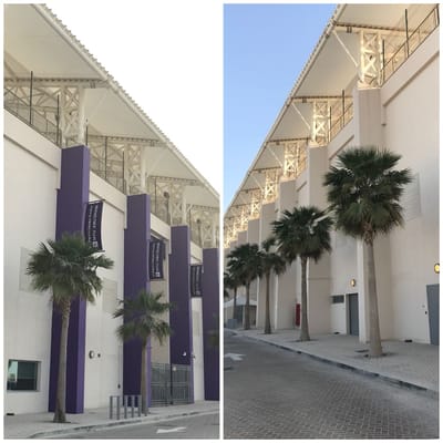 Branding for NYUAD - Werbung