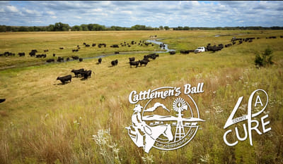 Marketing for the Cattlemen's Ball of Nebraska - Grafikdesign