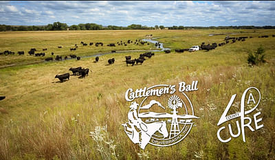 Marketing for the Cattlemen's Ball of Nebraska - Diseño Gráfico