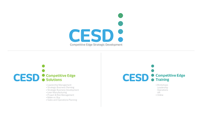 Rebranding - CESD Services - Image de marque & branding