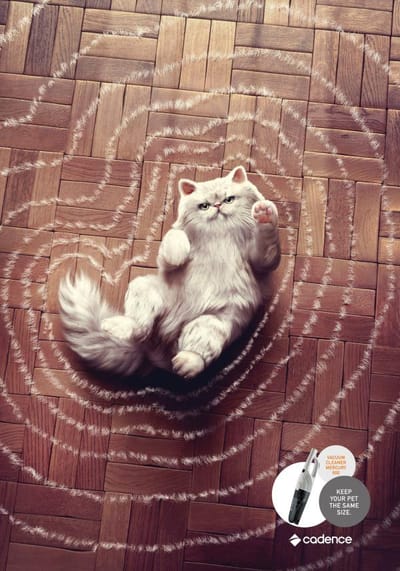 Cat - Publicité