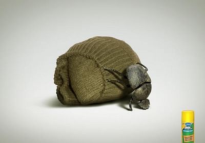 Dung Beetle - Publicité