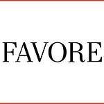 Favore Media Group logo