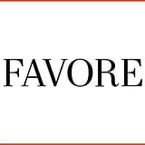 Favore Media Group