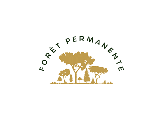 Lancement de marque pour Ma Forêt Permanente - Image de marque & branding