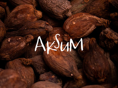 Aksum - Identité Graphique