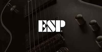 ESP - Website Creation