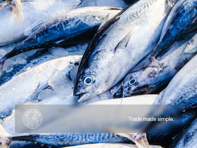 From concept to branding for Market Europe - Image de marque & branding