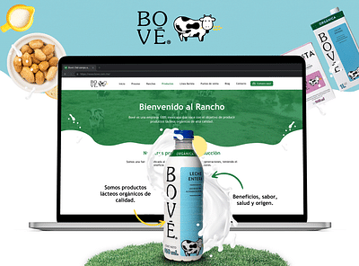 Bové - Webseitengestaltung