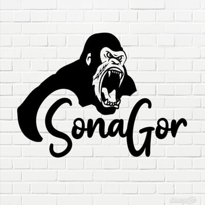 Conception d'un logo - Design & graphisme