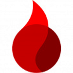 FlamingSoft inc logo