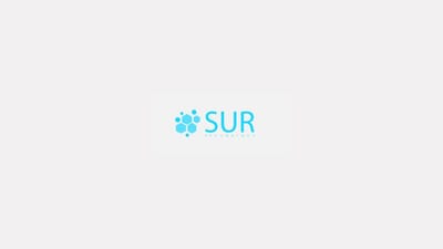 Payment Gateway - Desarrollo de Software
