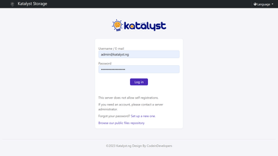 Katalyst Storage - Website Creation