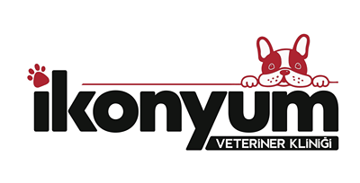İkonyum Veterinary Clinic | Local SEO & Google Maps in Konya - Online Advertising