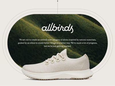 Allbirds Site E-commerce - E-commerce