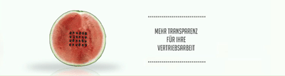 Normbrechender  IT Auftritt - Web Application