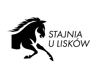 Stajnia u Liskow - Website Creation
