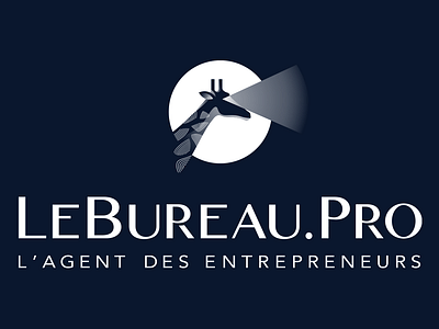 LEBUREAU.PRO - POSITIONNEMENT, BRANDING, COM, WEB - Stratégie de contenu