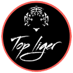 Top Liger Media logo