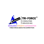 Tri-Force Consulting services