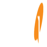 Navantis logo