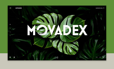 Movadex website - Website Creation