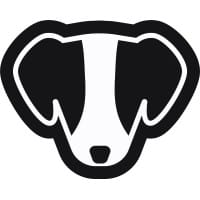 Taylor Scher SEO Consultant