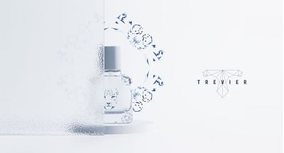 Trevier - Brand Identity - Image de marque & branding