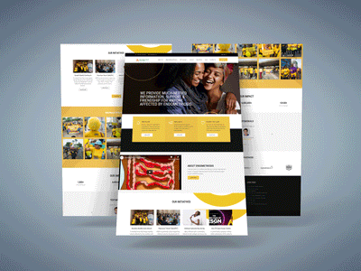 Social Media Campaign Against Endometriosis - Digital Strategy