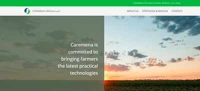 www.caremena.com - Website Creatie
