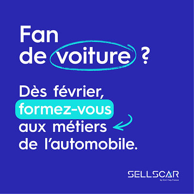 Sellscar - Campagne social ads - Réseaux sociaux