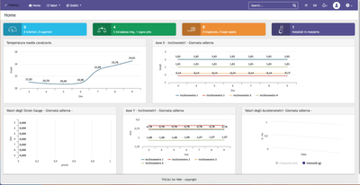 Piattaforma web Monitoraggio Ponti e Viadotti - Software Development