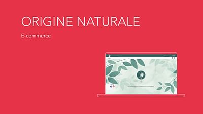 Origine Naturale - Website Creation