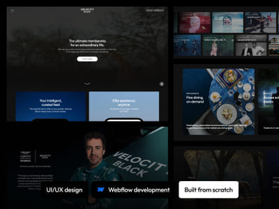 Velocity.Black | Powering High-Performance Lifestyles - Website Creation