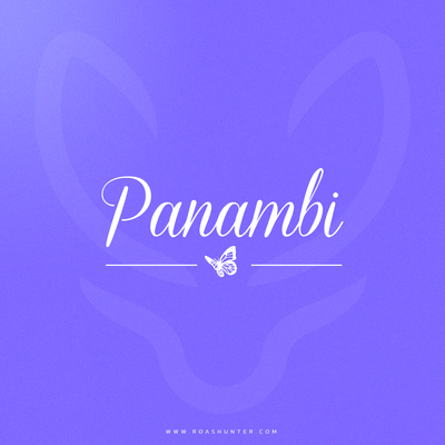 Panambi - Publicidad Online