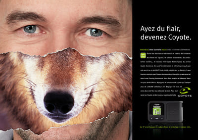Coyote - E-mail Marketing